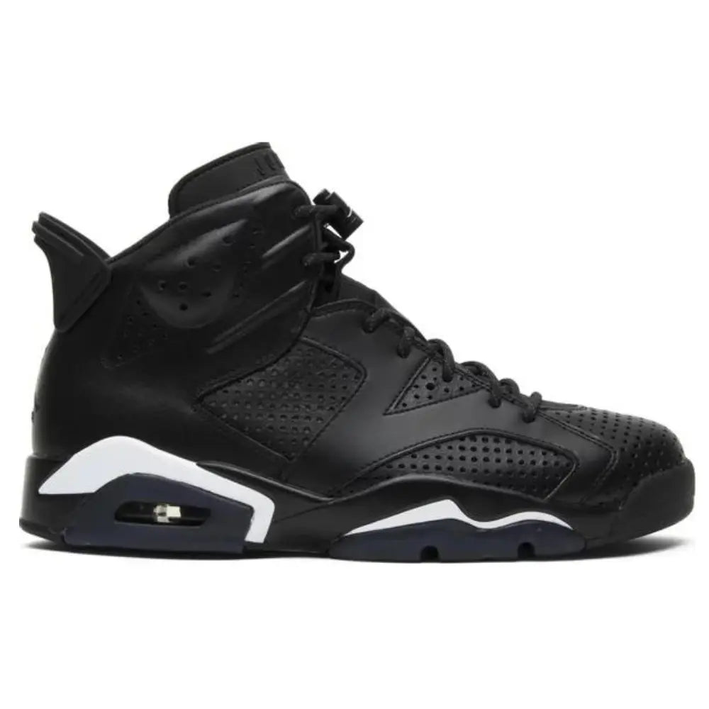 Jordan 6 Retro Black Cat 1