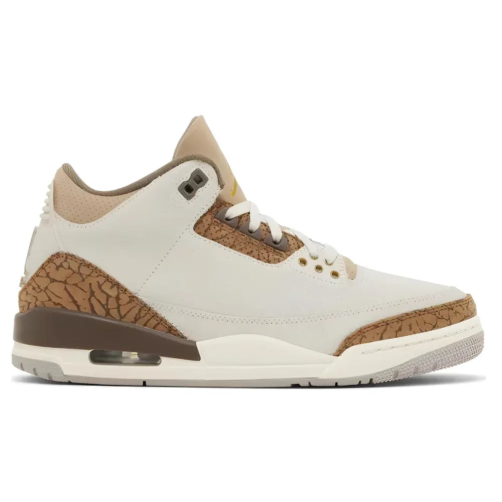 Jordan 3 Retro Palomino 1