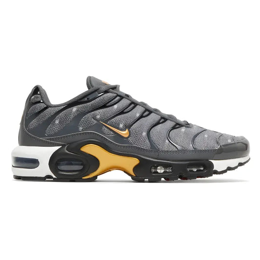 Nike Air Max Plus Denim Twill 1