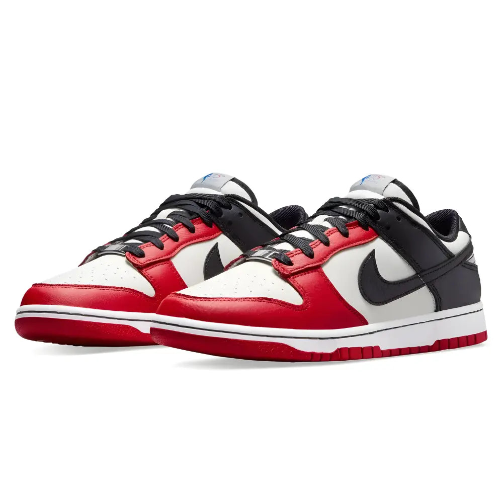 Nike Dunk Low EMB NBA 75th Anniversary Chicago NIKE