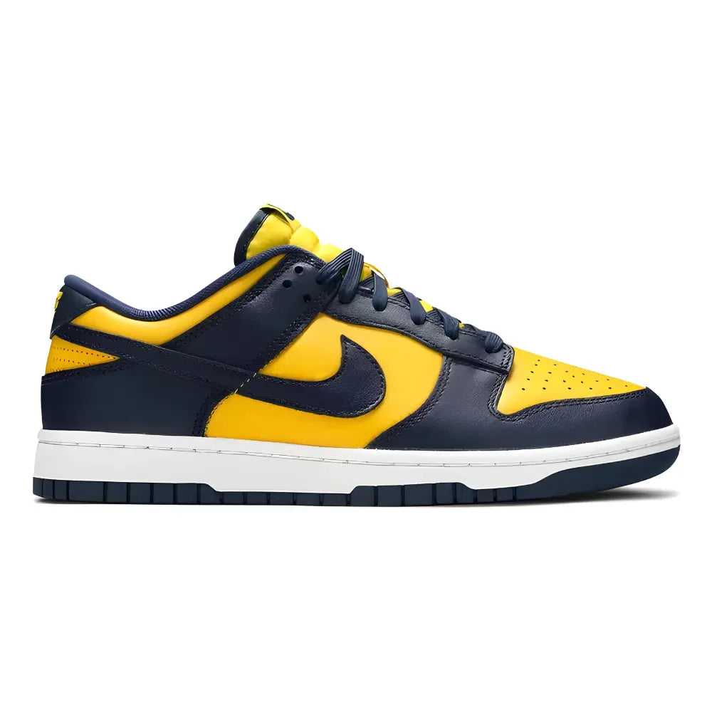 Nike Dunk Low Michigan (2021) 1